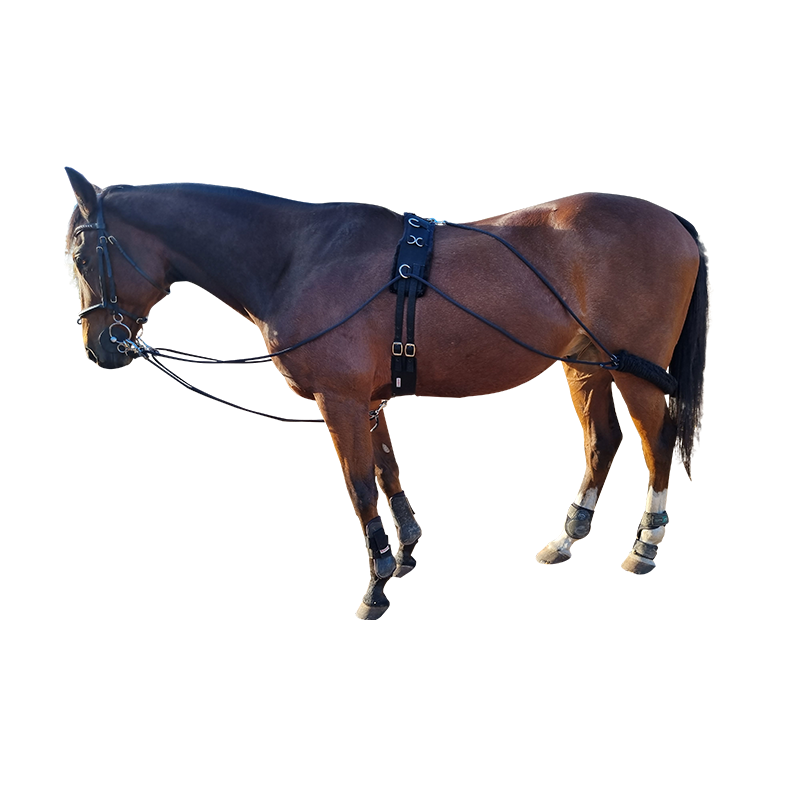 Lunging Aid Solo
